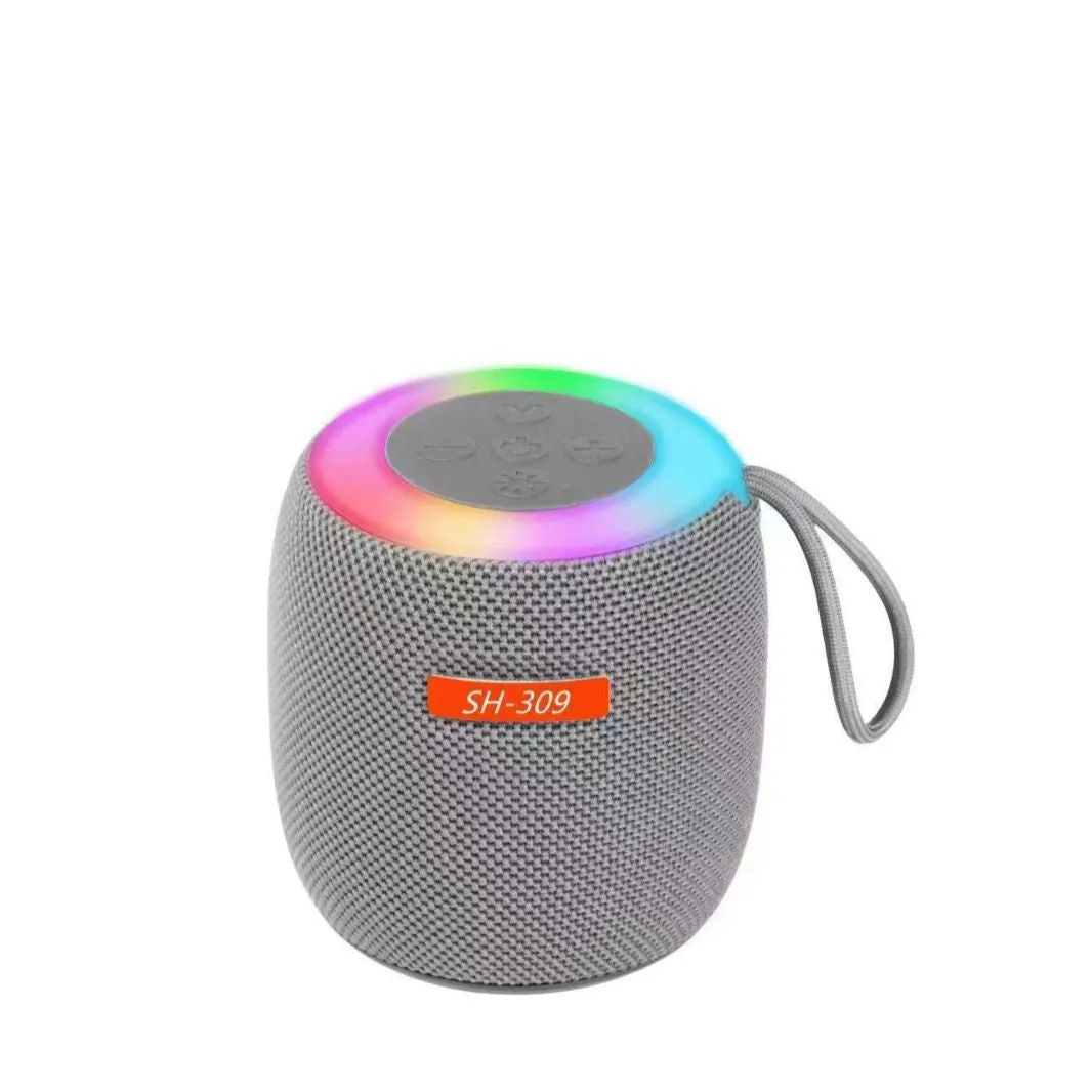 309 Wireless Bluetooth Speaker