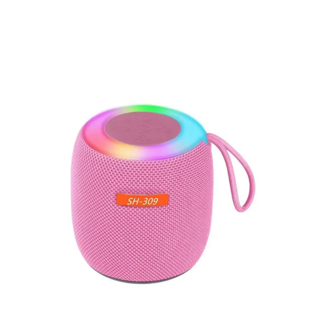 309 Wireless Bluetooth Speaker