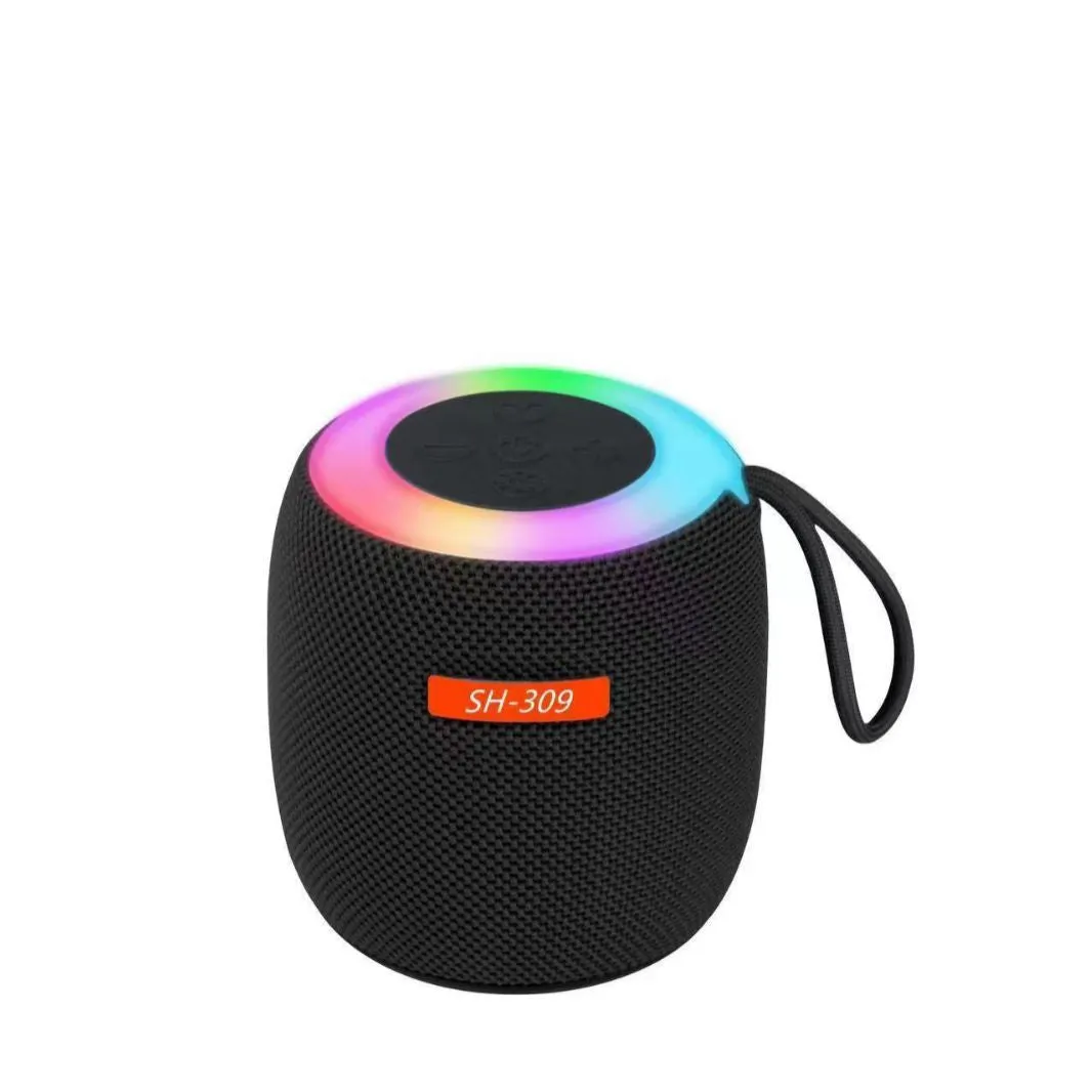 309 Wireless Bluetooth Speaker